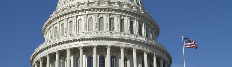 capitol dome section with flag