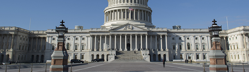 capitol longshot