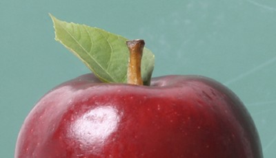 Reflections: How to handle religious expression in public schools