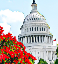 U.S. House rejects nationwide school voucher amendment 311-113, while states continue to enact voucher programs